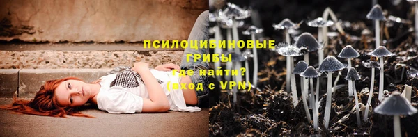 гидра Балахна