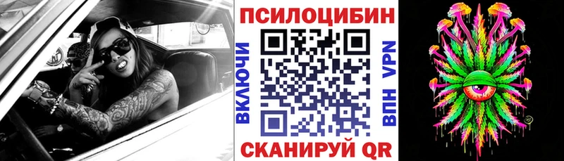 Псилоцибиновые грибы Cubensis  Шумерля 